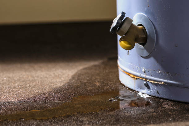 Best Mold removal after water damage  in Lasalle, IL