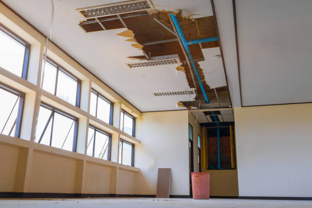 Best Sewage cleanup and water damage restoration  in Lasalle, IL