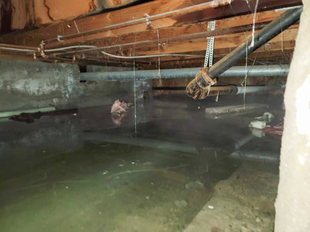 Water damage restoration process in IL