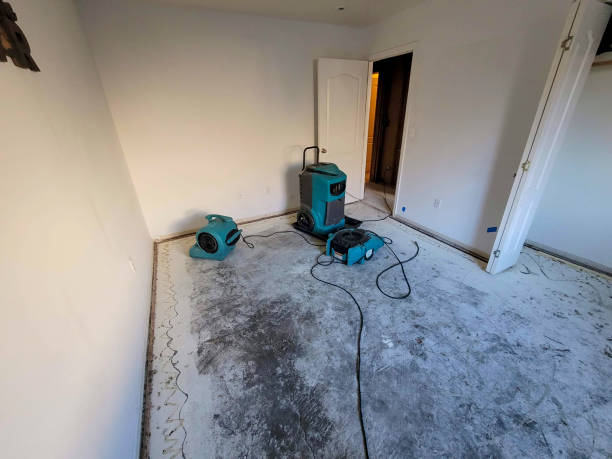 Best Local water damage restoration  in Lasalle, IL