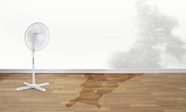 Best Water damage restoration company  in Lasalle, IL