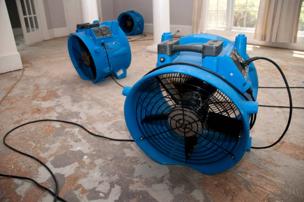 Best Carpet water damage restoration  in Lasalle, IL