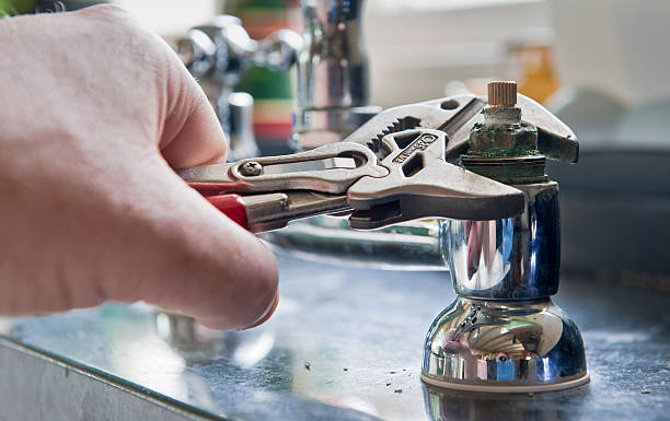 Best Water damage restoration mold remediation  in Lasalle, IL