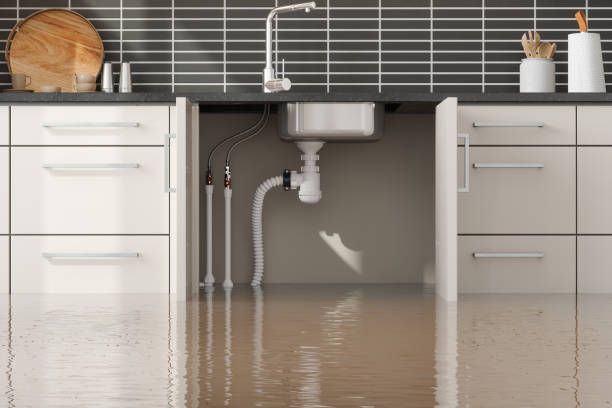 Best Water damage contractors near me  in Lasalle, IL